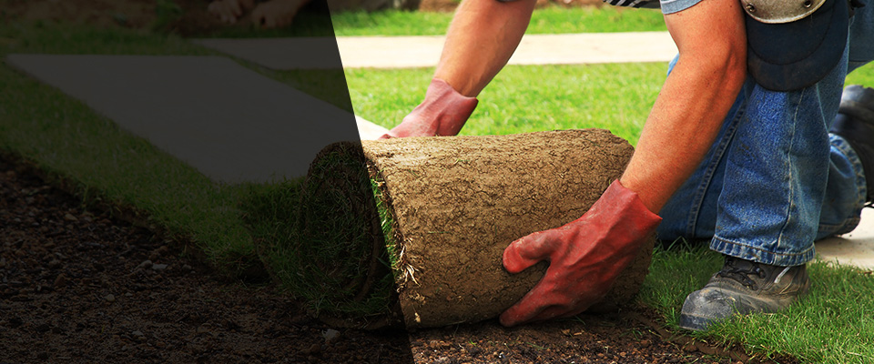 Newton Grove Landscapers